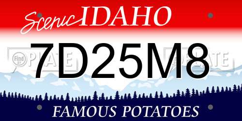 7D25M8 Idaho License Plate