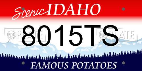 8015TS Idaho License Plate