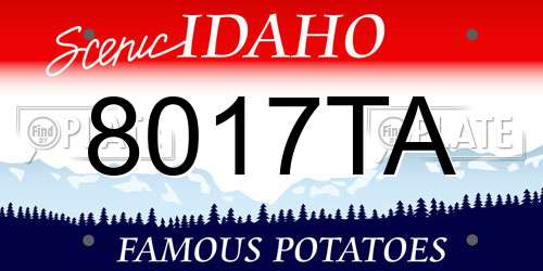 8017TA Idaho License Plate
