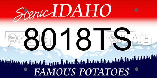 8018TS Idaho License Plate