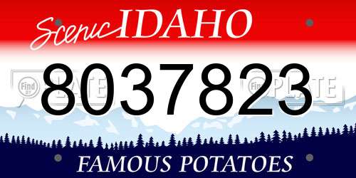 8037823 Idaho License Plate