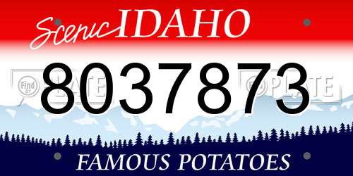 8037873 Idaho License Plate