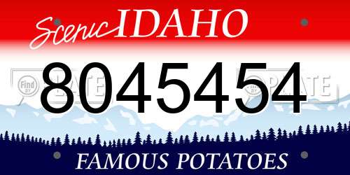 8045454 Idaho License Plate