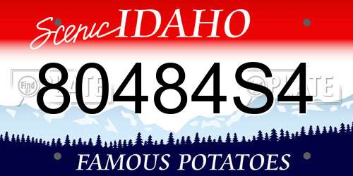 80484S4 Idaho License Plate