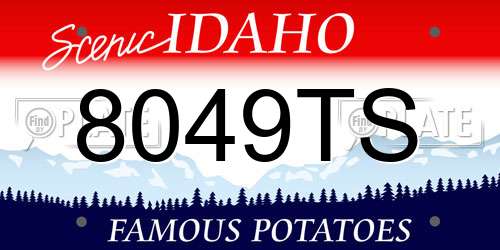 8049TS Idaho License Plate
