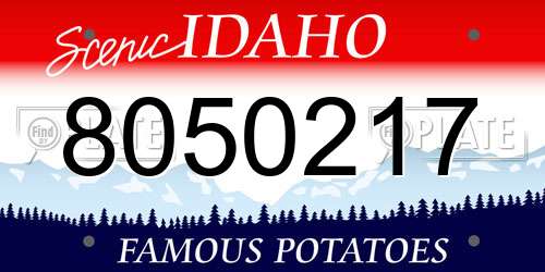 8050217 Idaho License Plate
