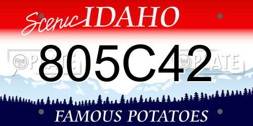 805C42 Idaho License Plate