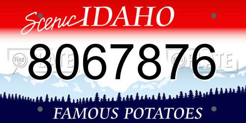 8067876 Idaho License Plate