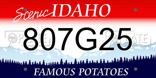 807G25 Idaho License Plate