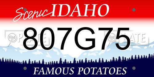 807G75 Idaho License Plate