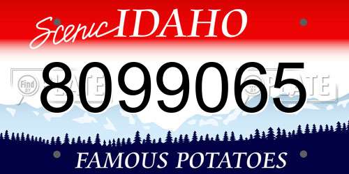 8099065 Idaho License Plate
