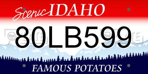 80LB599 Idaho License Plate