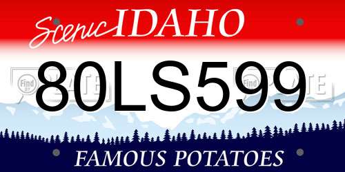 80LS599 Idaho License Plate