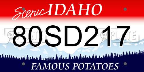 80SD217 Idaho License Plate