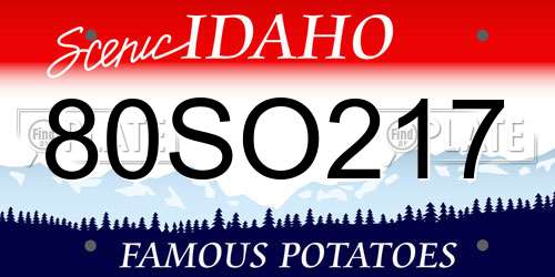 80SO217 Idaho License Plate
