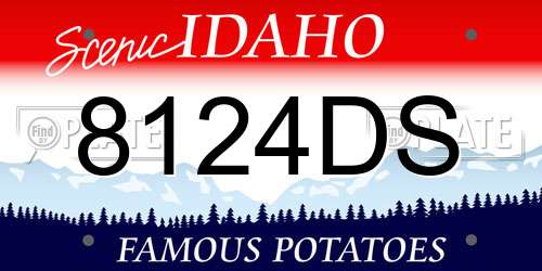 8124DS Idaho License Plate