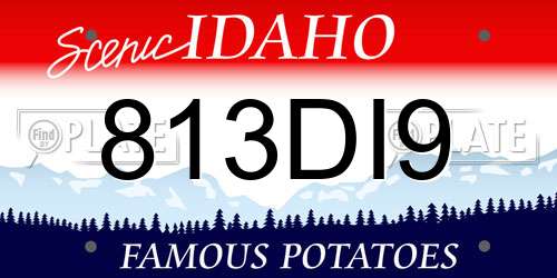 813DI9 Idaho License Plate