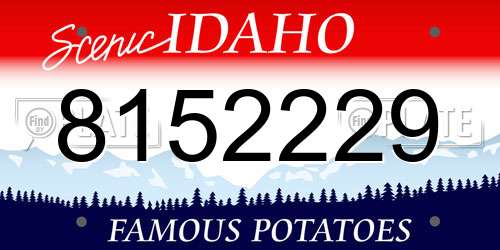 8152229 Idaho License Plate