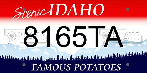 8165TA Idaho License Plate