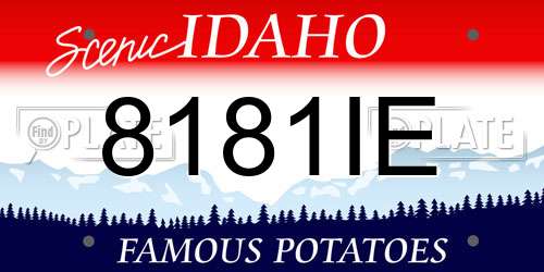 8181IE Idaho License Plate