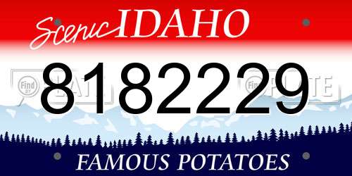 8182229 Idaho License Plate