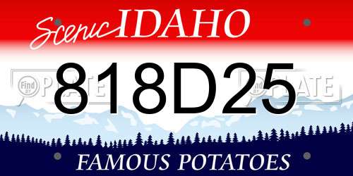 818D25 Idaho License Plate