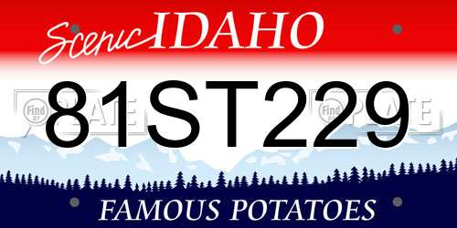 81ST229 Idaho License Plate