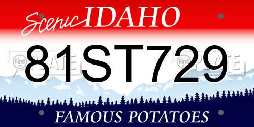 81ST729 Idaho License Plate