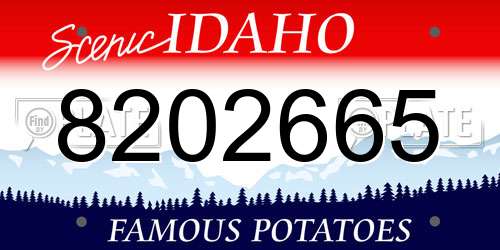 8202665 Idaho License Plate