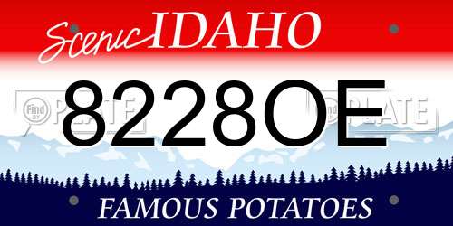 8228OE Idaho License Plate