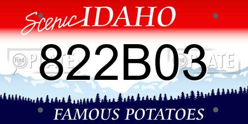 822B03 Idaho License Plate