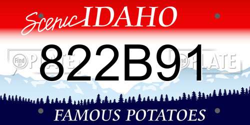 822B91 Idaho License Plate