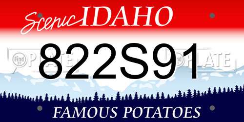 822S91 Idaho License Plate