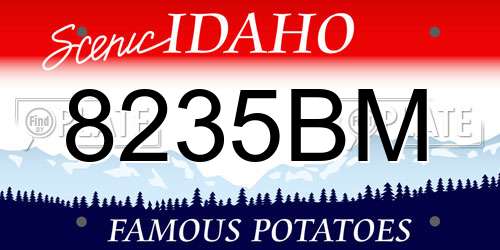 8235BM Idaho License Plate
