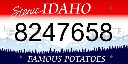8247658 Idaho License Plate