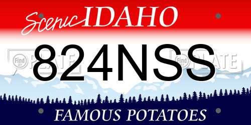 824NSS Idaho License Plate