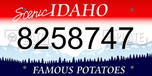 8258747 Idaho License Plate