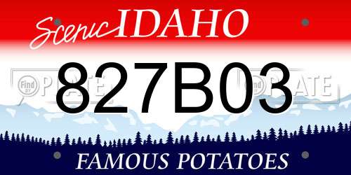 827B03 Idaho License Plate