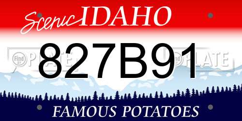 827B91 Idaho License Plate