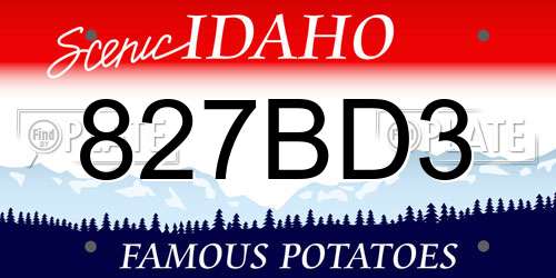 827BD3 Idaho License Plate
