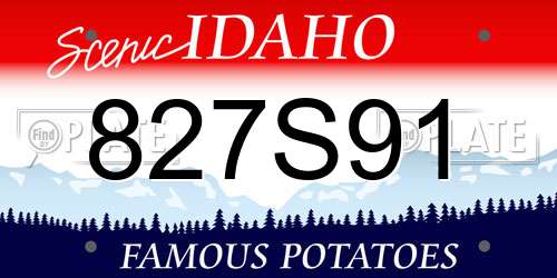 827S91 Idaho License Plate