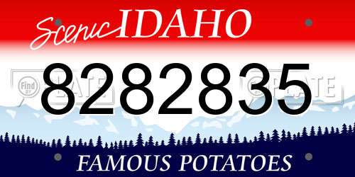 8282835 Idaho License Plate