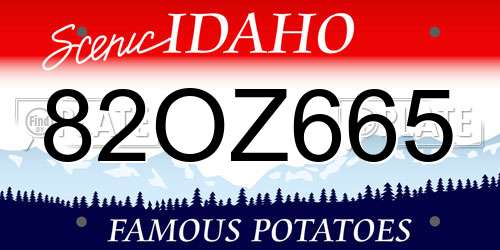 82OZ665 Idaho License Plate