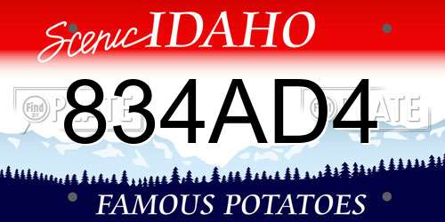 834AD4 Idaho License Plate