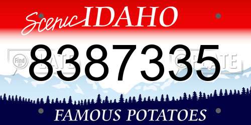 8387335 Idaho License Plate