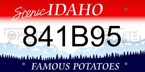 841B95 Idaho License Plate