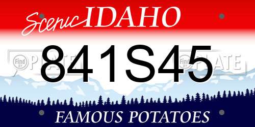 841S45 Idaho License Plate