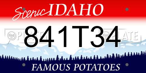 841T34 Idaho License Plate