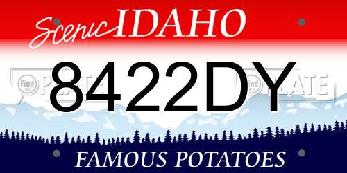 8422DY Idaho License Plate