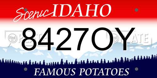 8427OY Idaho License Plate
